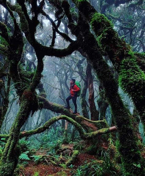 Mt. Dulang dulang Bukidnon,Philippines | Art challenge, Kerala tourism, Thread art