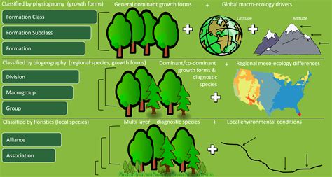 Natural Vegetation Classification « The U.S. National Vegetation Classification