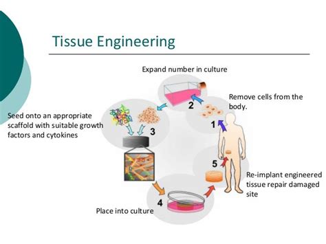 14 biomaterials