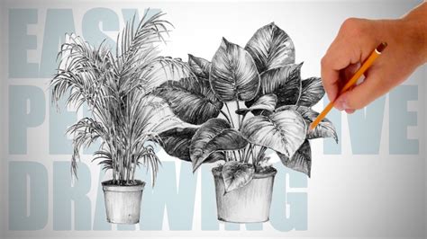 How to draw plants - Easy Perspective Drawing 19 - YouTube