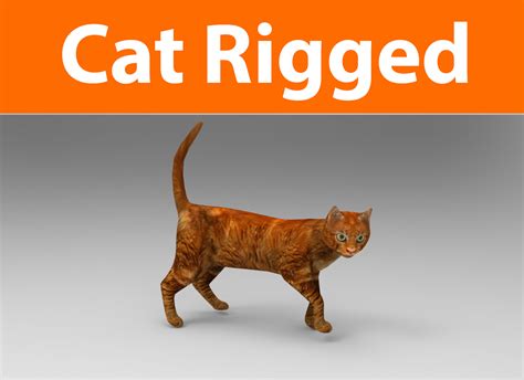 Rigged Cat Rigs Free 3D Models 3ds Max - .max download - Free3D