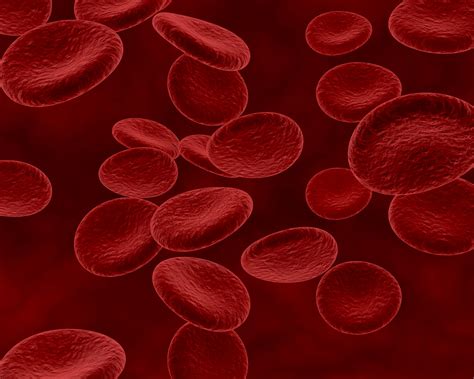 Blood Cell Disorders: Symptoms, Types, and Causes - HealSpoc Healthcare ...