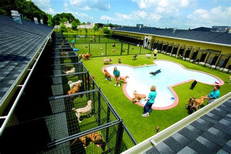 Pet Paradise Resort | Dog boarding kennels, Dog boarding facility, Dog kennel