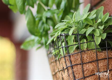 Vertical Herb Garden - super simple and easy DIY project