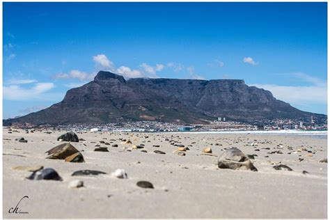 Full Day Robben Island And Table Mountain Tour From Cape Town: Triphobo