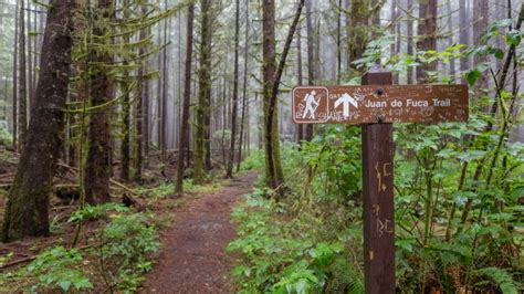 Juan de Fuca Trail: Essential Information – Hiking Is Good