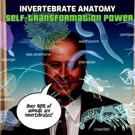 238) Invertebrate Anatomy – Foxhugh Superpowers List