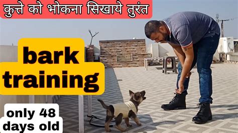 Puppy bark training , dog bark training in hindi जर्मन शेफर्ड पप्पी को भोकने की ट्रेनिंग कैसे दे ...