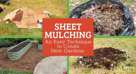 Sheet Mulching: A Simple Way to Make New Gardens and Paths