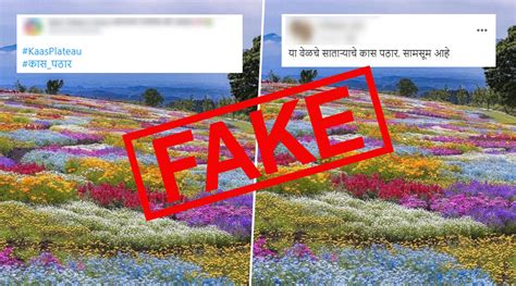 Fact Check: Picture of Kaas Pathar in Full Bloom With No Tourist ...