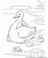 Pond Coloring Page sketch template