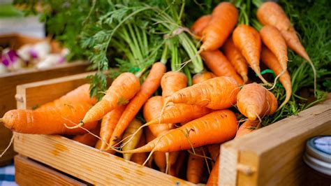 The Origin and History of Carrots | Scrumptious Bites