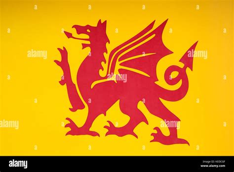 Yellow Red Dragon Flag