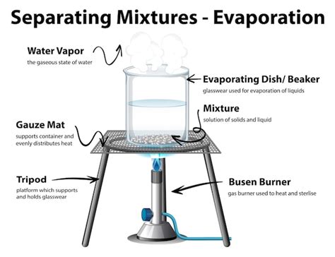 Free Vector | Diagram showing Evaporation Separating Mixtures