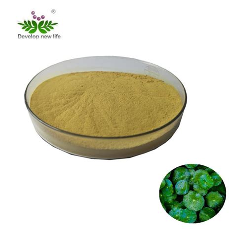 Centella Asiatica Extract_Standarlized Extract_Xi'an DN Biology Co.,Ltd