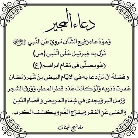 اليمامه البيضاء