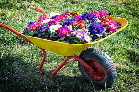 30+ Awesome DIY Wheelbarrow Planter Ideas & Projects For Your Garden