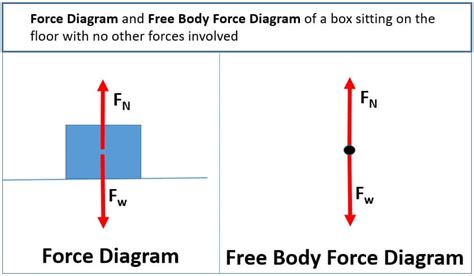 Free Body Force Diagram Examples