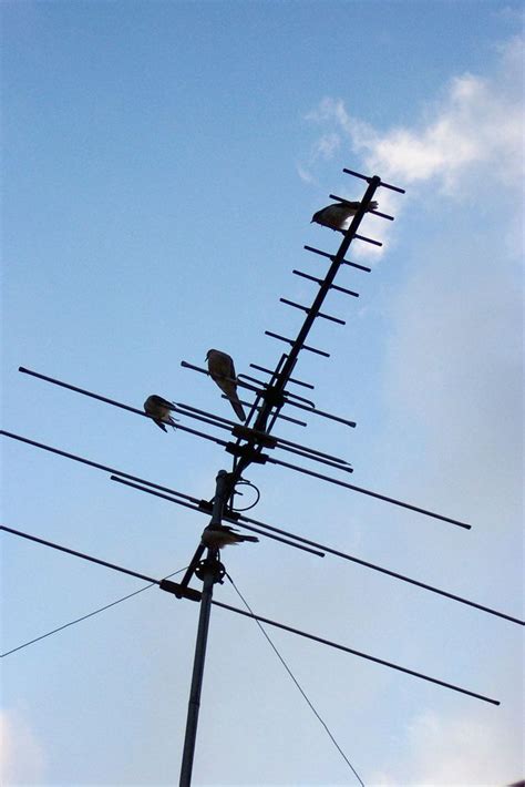 How To Install An Outdoor TV Antenna | Outdoor tv antenna, Outdoor hdtv antenna, Hdtv antenna