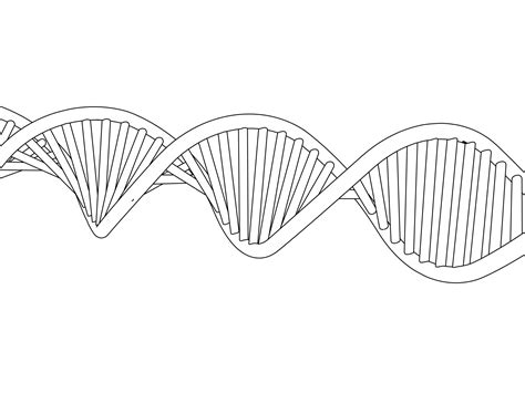 Coloring Pages Of Dna