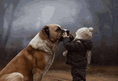 Dog Hug GIF - Dog Hug Kid - Discover & Share GIFs