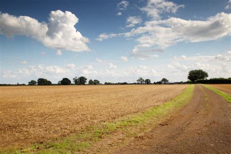 Buckinghamshire Countryside in the Uk Stock Photo - Image of dramatic ...