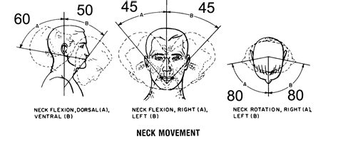 Normal Neck Range Of Motion