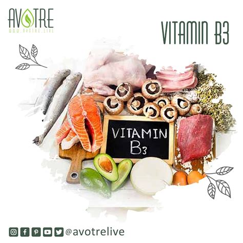 Vitamin B3 is antioxidant, anti-inflammatory, and helps keep skin moisturized throughout the ...