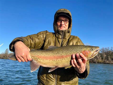 Fishing - Sac River steelhead/trout fishing!