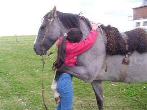 These interspecies animal love photos will make you go awww