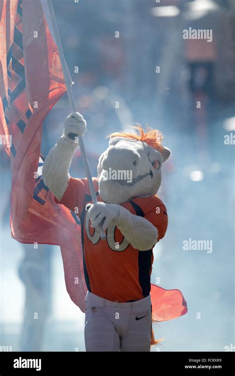 Mascot denver broncos hi-res stock photography and images - Alamy