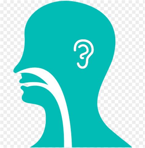 ear, nose, throat illustration - ear nose and throat logo PNG image with transparent background ...