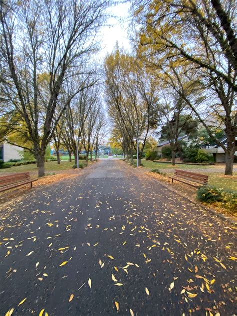 PCC Rock Creek Soccer Fields, Portland, OR - MapQuest