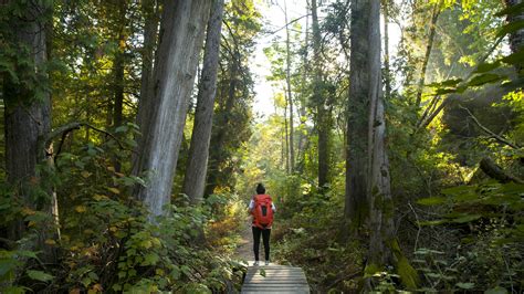 The 5 best hikes in Wisconsin - Lonely Planet