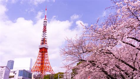 Tokyo’s skyline: the city’s ten tallest structures- We Build Value