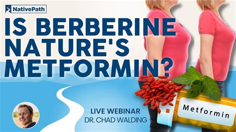 Berberine: The Natural Metformin Alternative? | Here's What We Know - YouTube