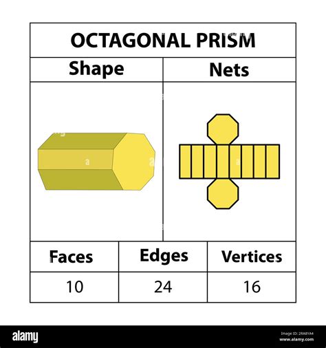 Octagonal prism nets, faces, edges, and vertices. Geometric figures are set isolated on a white ...