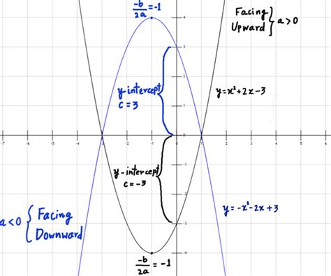 Polynomial Functions- Definition, Formula, Types and Graph With Examples