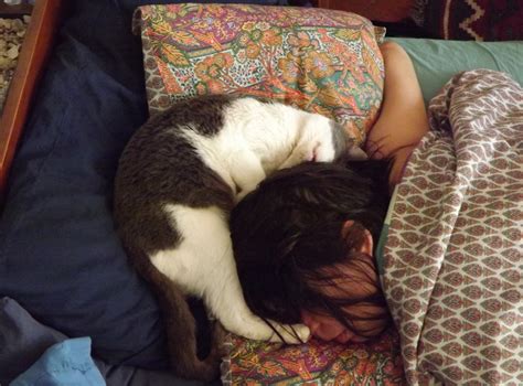 Animalarium: Cat Naps