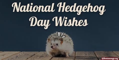 Hedgehog Day