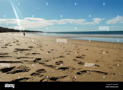 Woman walking at Mon Repos beach near Bundaberg, Queensland - Australia Stock Photo - Alamy