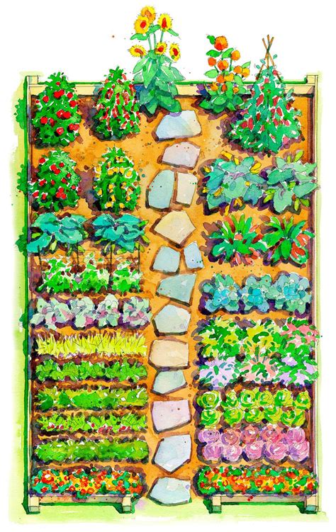 Vegetable Garden Layout Guide