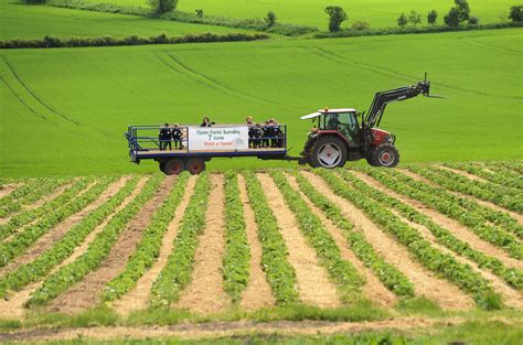 Crowds Flock to Farms for Open Farm Sunday - Farming UK News