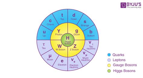 Higgs Boson - Higgs Field, God Particle, Discovery, FAQs