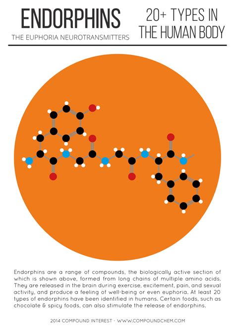 A bit of a detour into neuroscience today with a look at the chemical ...