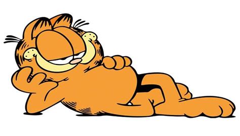 Kucing Garfield, Jenis Kucing Apakah Garfield Sebenarnya? » KucingMania