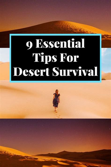 9 Essential Desert Survival Tips | Desert travel, Survival tips, Survival