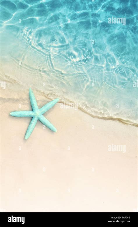 Starfish on the summer beach. Summer background. Tropical sand beach ...