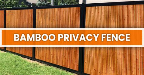 Bamboo Privacy Fence: A Comprehensive DIY Guide