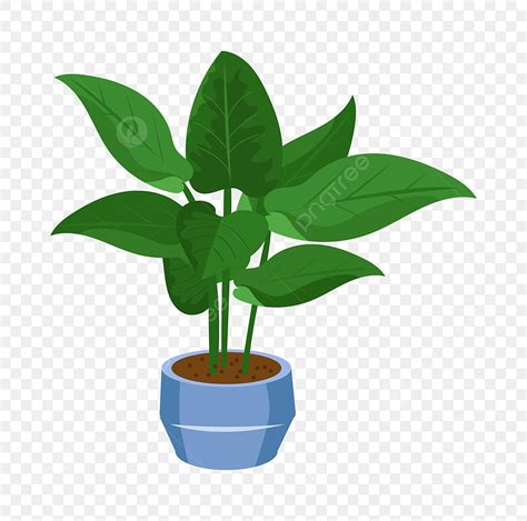 Potted Plant Clipart Transparent Background, Green Plant Potted Cartoon Illustration, Green ...